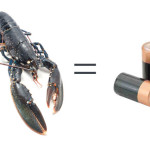 Des homards utlisé comme biocarburant pour remplacer piles et batteries ? 